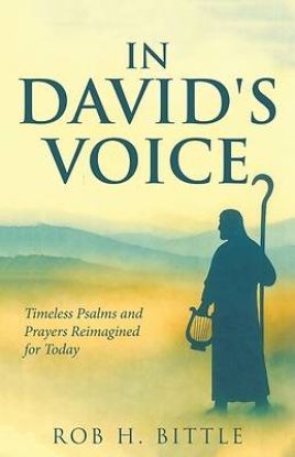 Picture of In David's Voice