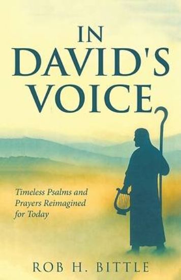 Picture of In David's Voice