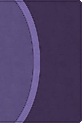 Picture of CSB Rainbow Study Bible, Purple Leathertouch (Limited Edition)