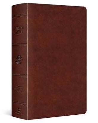 Picture of ESV Giant Print Personal Size Bible, Red Letter (Trutone, Chestnut)
