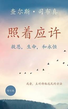 Picture of 照着应许