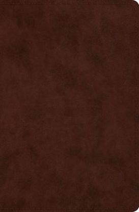 Picture of ESV Compact Bible, Red Letter (Trutone, Brown)
