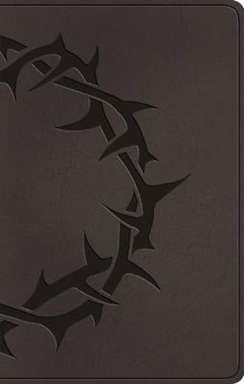 Picture of ESV Premium Gift Bible (Trutone, Charcoal, Crown Design)