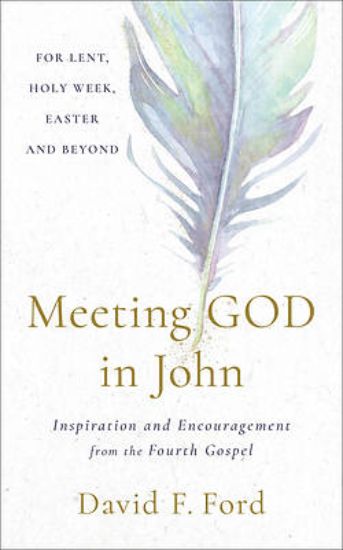 Picture of Meeting God in John