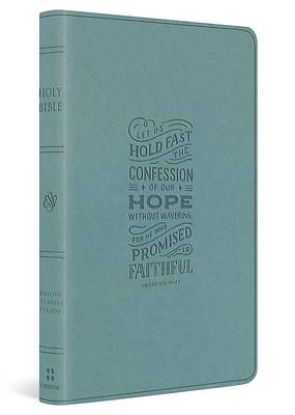 Picture of ESV Large Print Value Thinline Bible (Trutone, Paris Sky, Hebrews 10