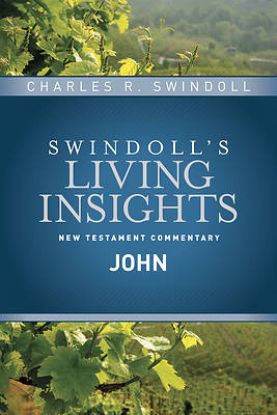 Picture of Insights on John