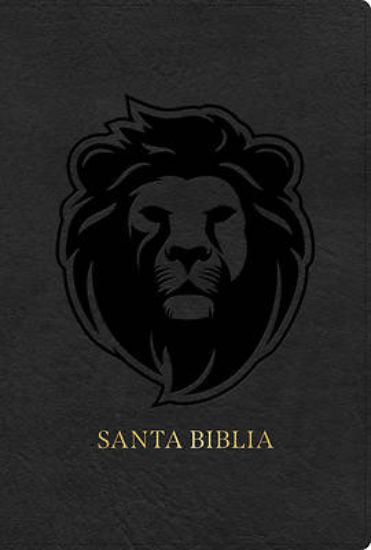 Picture of Rvr 1960 Biblia Letra Grande Tamaño Manual Edición Especial, Ceniza, Símil Piel