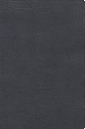 Picture of Rvr 1960 Biblia de Estudio de Letra Gigante, Negro, Símil Piel