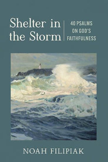 Picture of Shelter in the Storm