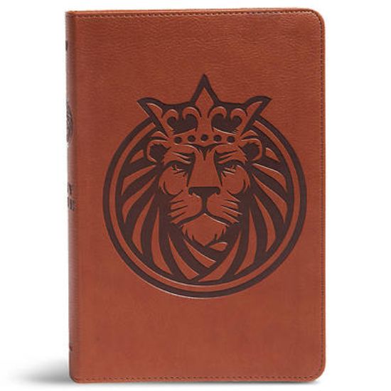 Picture of KJV Kids Bible, Lion Leathertouch