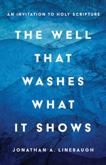 Picture of The Well That Washes What It Shows