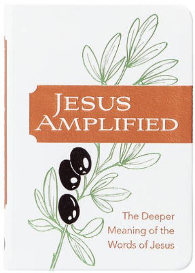Picture of Jesus Amplified