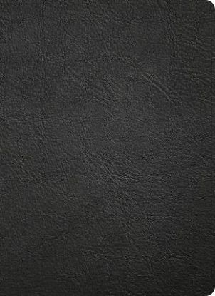 Picture of NASB Study Bible, Black Genuine Leather