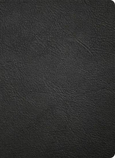 Picture of NASB Study Bible, Black Genuine Leather