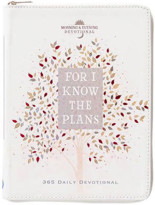 Picture of For I Know the Plans
