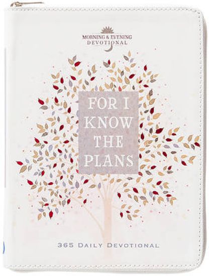 Picture of For I Know the Plans