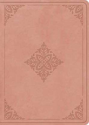 Picture of ESV Large Print Value Personal Size Bible, Red Letter (Trutone, River Stone, Branch Design)