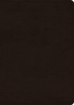 Picture of ESV Large Print Value Personal Size Bible, Red Letter (Trutone, Deep Brown)