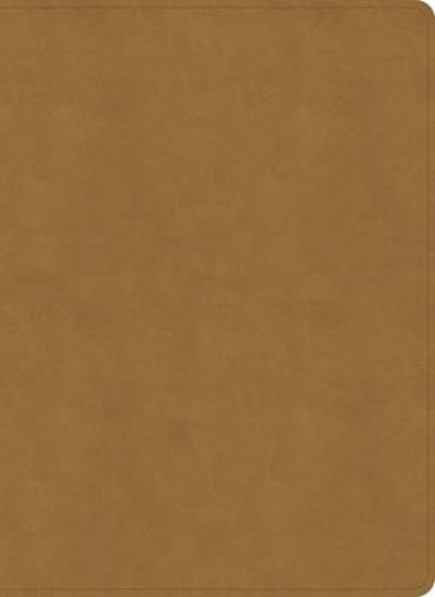 Picture of NASB Study Bible, Camel Suedesoft Leathertouch