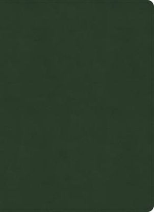 Picture of NASB Study Bible, Olive Leathertouch