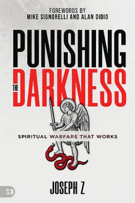 Picture of Punishing the Darkness