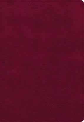 Picture of NASB Super Giant Print Reference Bible, Burgundy Leathertouch, Indexed
