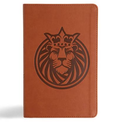 Picture of CSB Kids Bible, Anglicised Edition, Lion Leathertouch