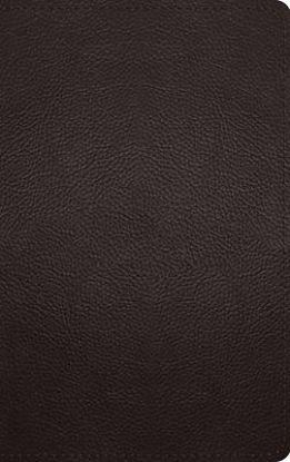Picture of ESV Thinline Bible, Red Letter (Buffalo Leather, Deep Brown)