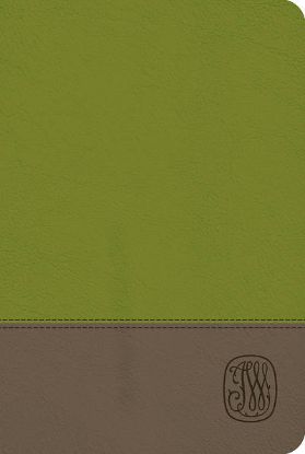 Picture of NRSV Wesley Study Bible