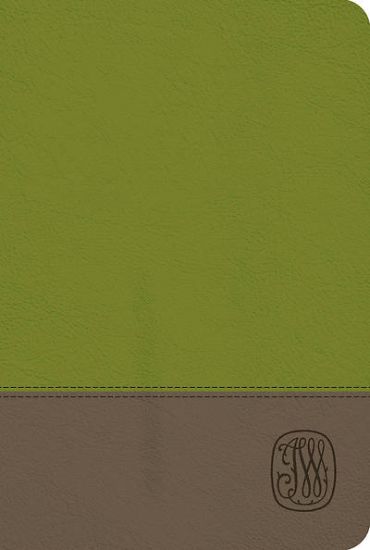 Picture of NRSV Wesley Study Bible