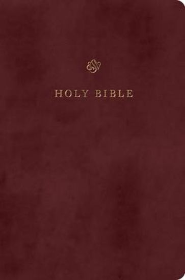 Picture of ESV Gift and Award Bible (Trutone, Burgundy)