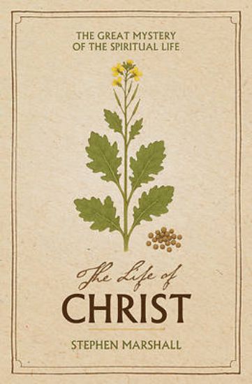 Picture of The Life of Christ