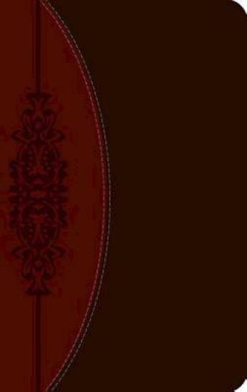 Picture of The CEB Wesley Study Bible, DecoTone