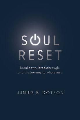 Picture of Soul Reset