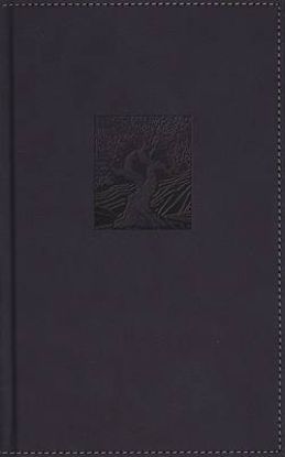 Picture of Niv, Heritage Bible, Page Edge Art Edition, Leathersoft Over Board, Navy, Red Letter, Comfort Print