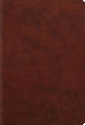 Picture of ESV Student Study Bible (Trutone, Chestnut)