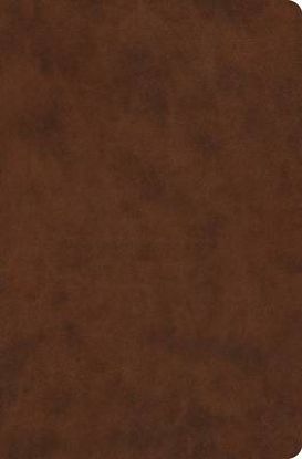 Picture of ESV Value Compact Bible, Red Letter (Trutone, Brown)