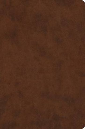 Picture of ESV Value Compact Bible, Red Letter (Trutone, Brown)
