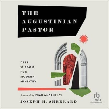 Picture of The Augustinian Pastor
