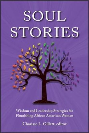 Picture of Soul Stories