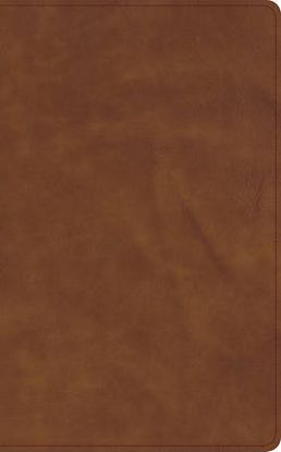Picture of CSB Single-Column Wide-Margin Bible, Holman Handcrafted Collection, Marbled Tan Premium Calfskin