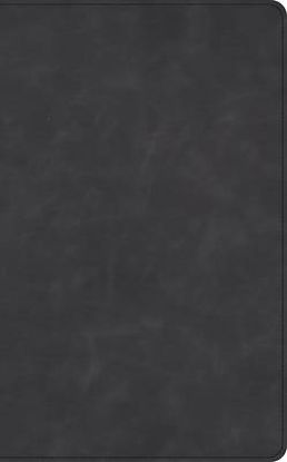 Picture of CSB Single-Column Wide-Margin Bible, Holman Handcrafted Collection, Marbled Slate Premium Calfskin