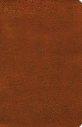 Picture of NASB Verse-By-Verse Reference Bible, Burnt Sienna Leathertouch