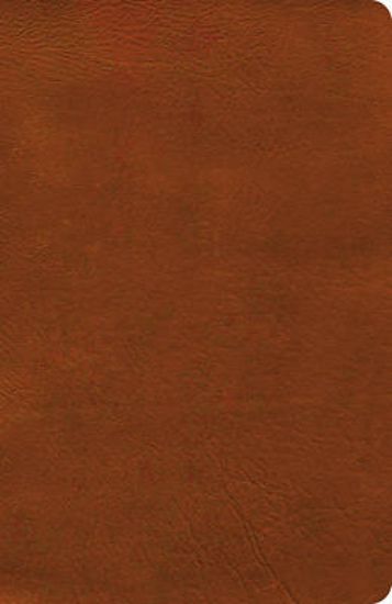 Picture of NASB Verse-By-Verse Reference Bible, Burnt Sienna Leathertouch
