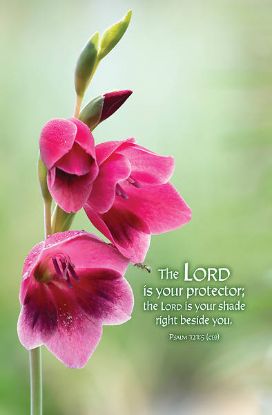Picture of Word Alive! Weekly Bulletin without Message-Week 9, Legal Size (Package of 25)