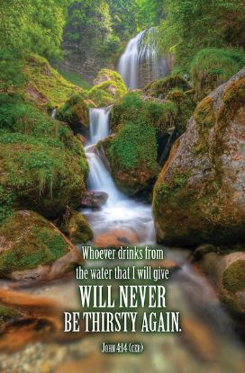 Picture of Word Alive! Weekly Bulletin without Message-Week 10, Legal Size (Package of 25)