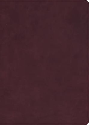 Picture of KJV Single-Column Wide-Margin Bible, Holman Handcrafted Collection, Marbled Burgundy Premium Calfskin