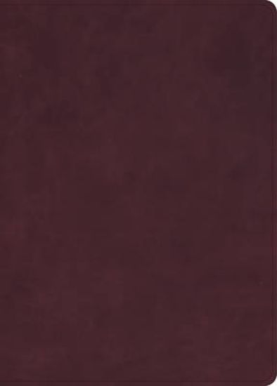 Picture of KJV Single-Column Wide-Margin Bible, Holman Handcrafted Collection, Marbled Burgundy Premium Calfskin
