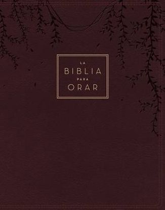 Picture of Rvr60, La Biblia Para Orar, Leathersoft, Rojo Vino, Palabras de Jesús En Rojo, Comfort Print