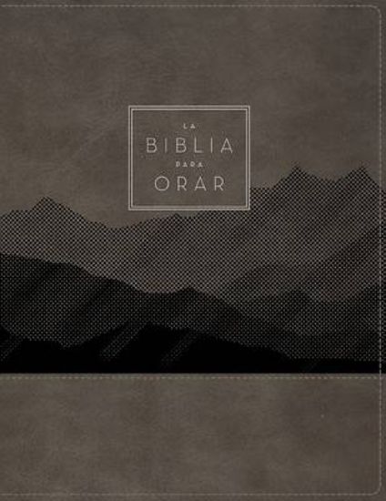Picture of Rvr60, La Biblia Para Orar, Leathersoft, Gris, Palabras de Jesús En Rojo, Comfort Print